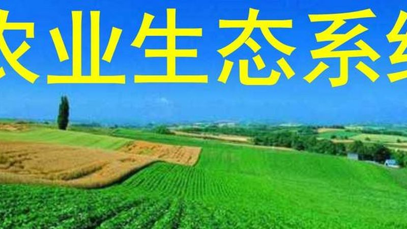 农业产业园环保监管：合规之路，绿色先行**