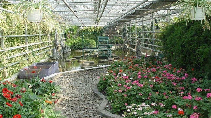 粮食种植深加工项目：五大关键注意事项