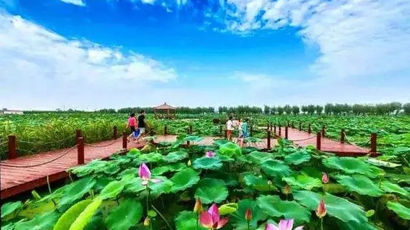 大棚建设成本，远不止每亩多少钱那么简单