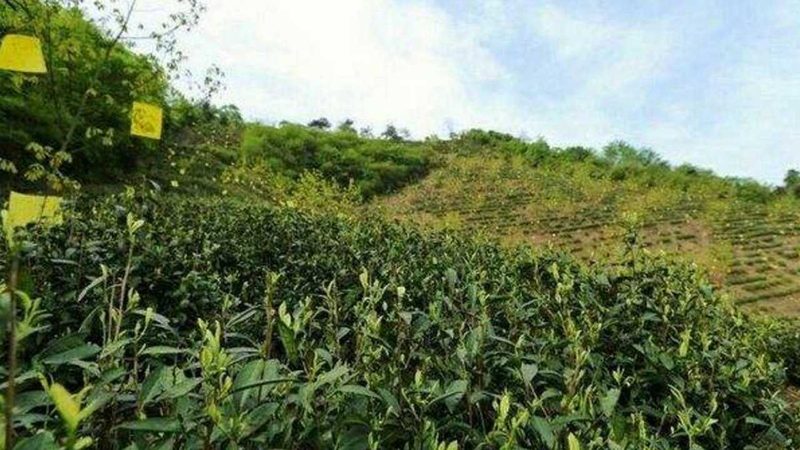 农产品配送设备国家标准：守护“舌尖上的安全