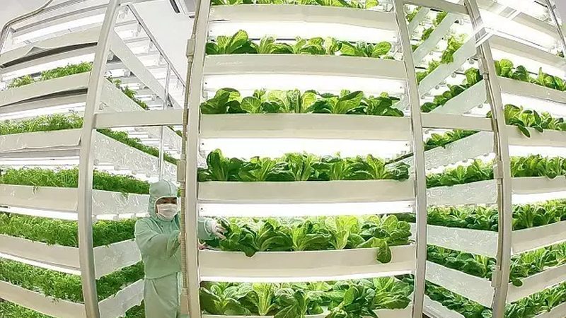 成都农业产业园运营管理手册：构建高效生态农业的指南