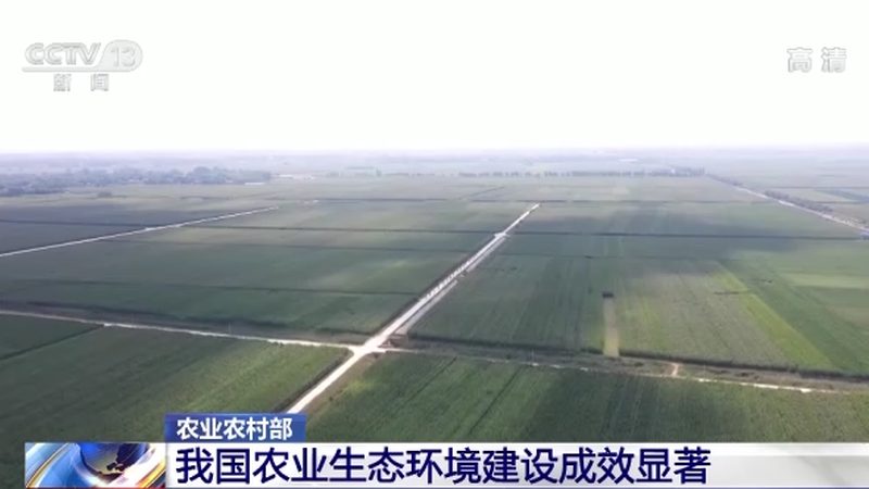 农业文旅项目策划书：如何打造特色农业旅游新亮点**