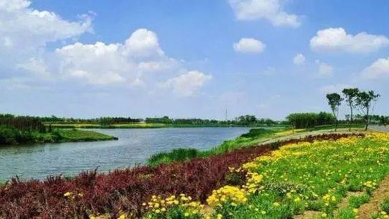 农产品配送系统：构建高效流通的桥梁**