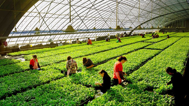 现代农业示范区建设标准验收细则全解析