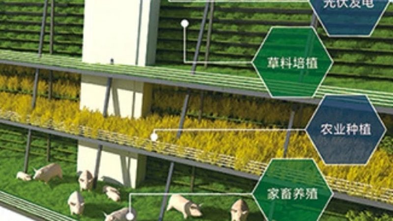 农业产业园农旅融合：如何打造双赢模式**