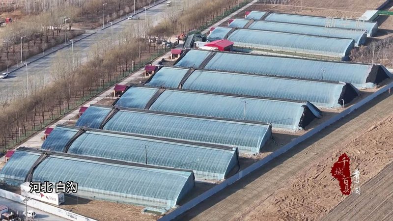 陕西农业有限公司