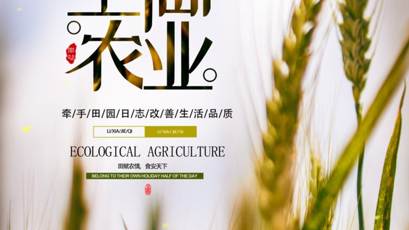 农业光伏项目安装报价揭秘：标准与考量**